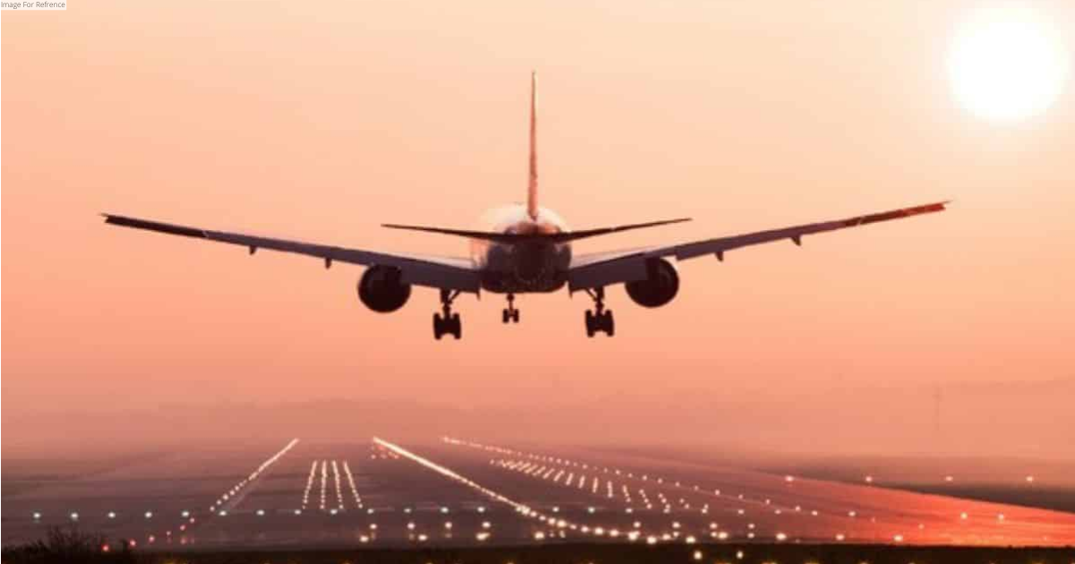Unruly passengers: Parliamentary panel recommends special airline wing